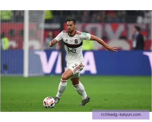 诺维奇球迷忠诚度持续增强，期待球队新赛季表现提升